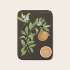 Seville Orange Bath Mat Gallery Image 1