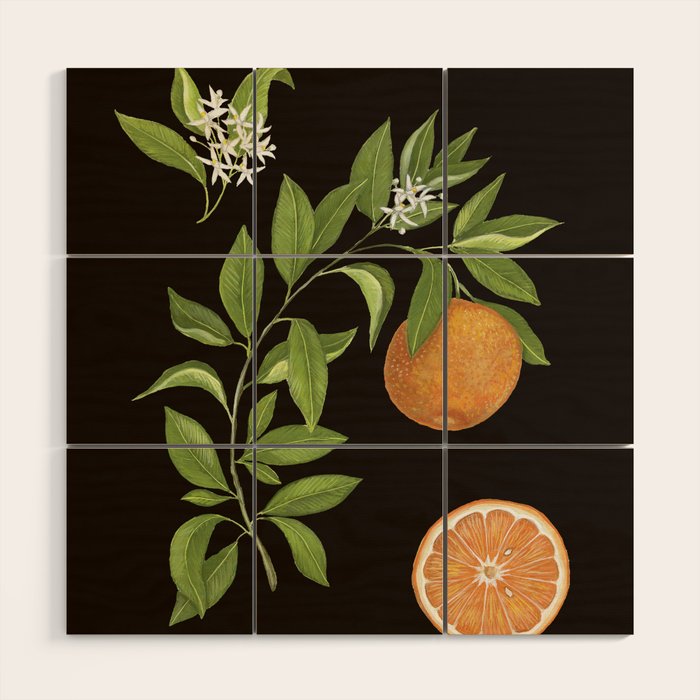 Seville Orange Wood Wall Art Gallery Image 1
