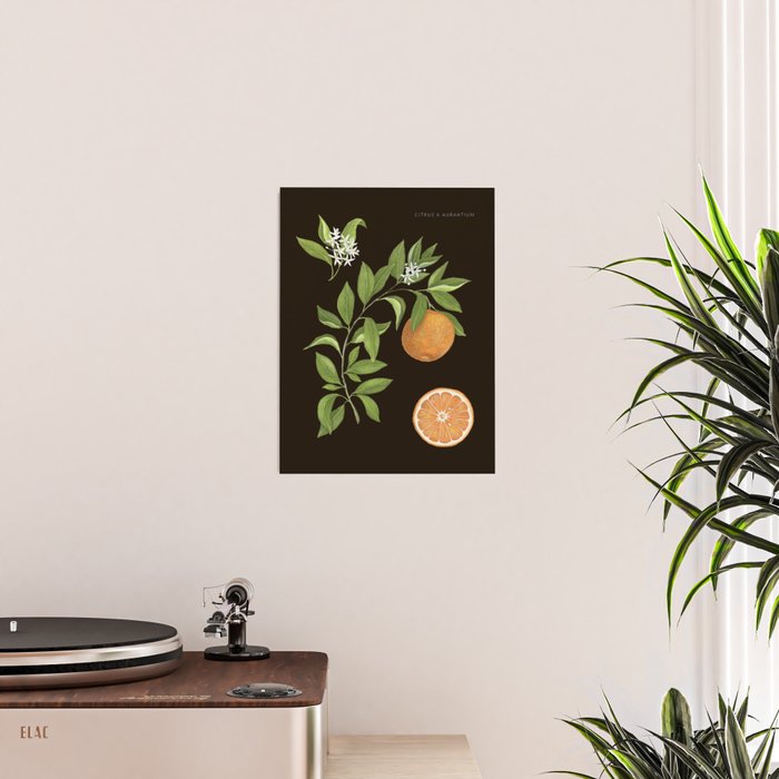 Seville Orange Poster Gallery Image 2