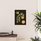Seville Orange Poster Gallery Image 2