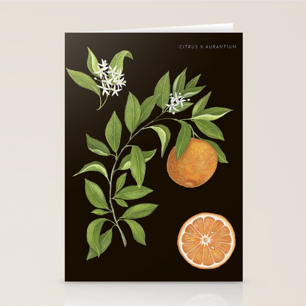 Seville Orange Stationery Card Gallery Image 1