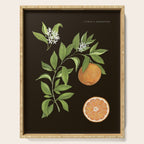 Seville Orange Serving Tray Gallery Image 1