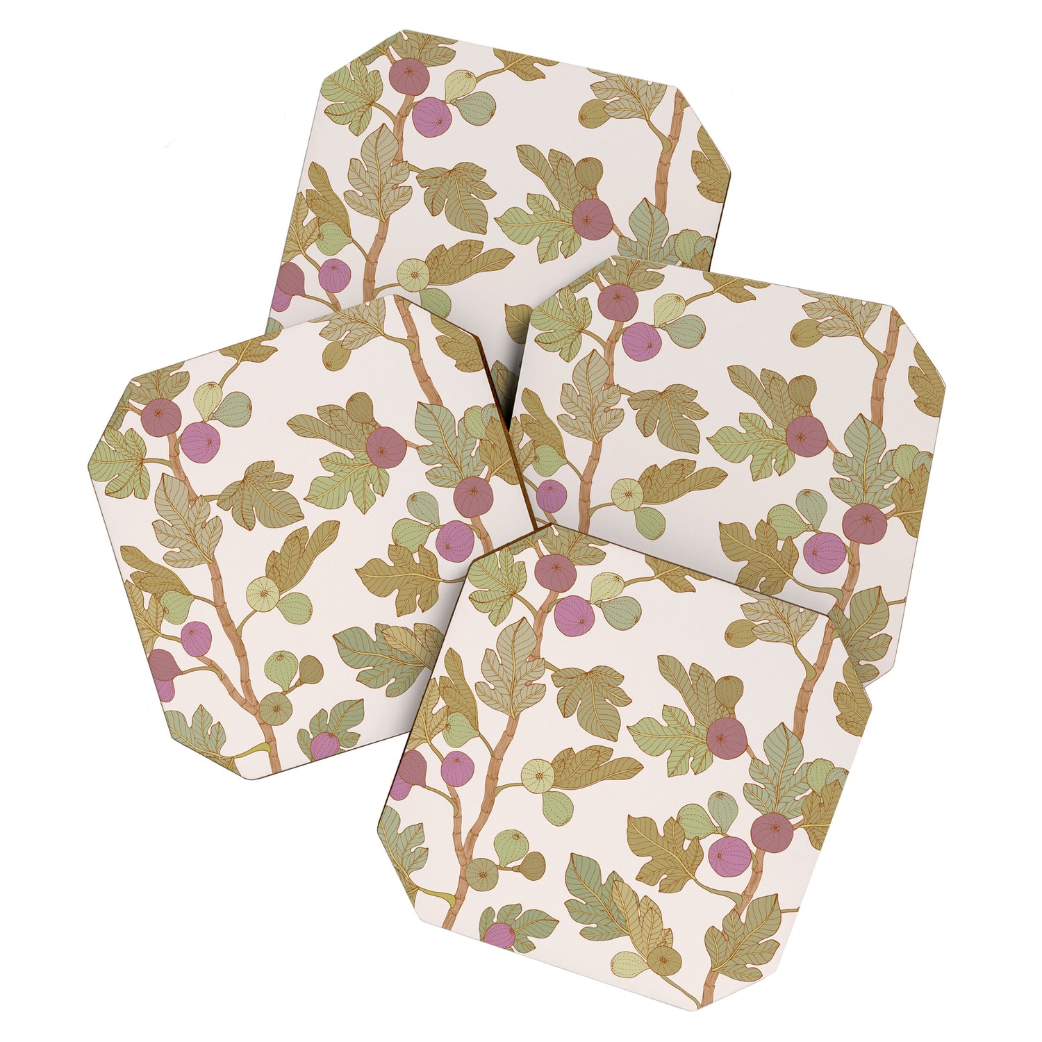 Fig Trees Coaster Gallery Image 1