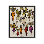Root vegetables Framed Canvas Print Gallery Image 6
