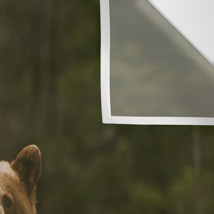Bush Bear Wall Tapestry Gallery Image 3