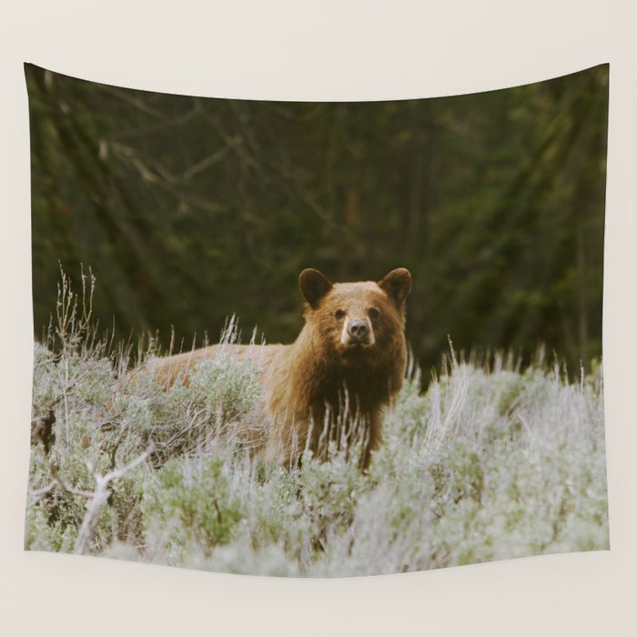Bush Bear Wall Tapestry Gallery Image 1