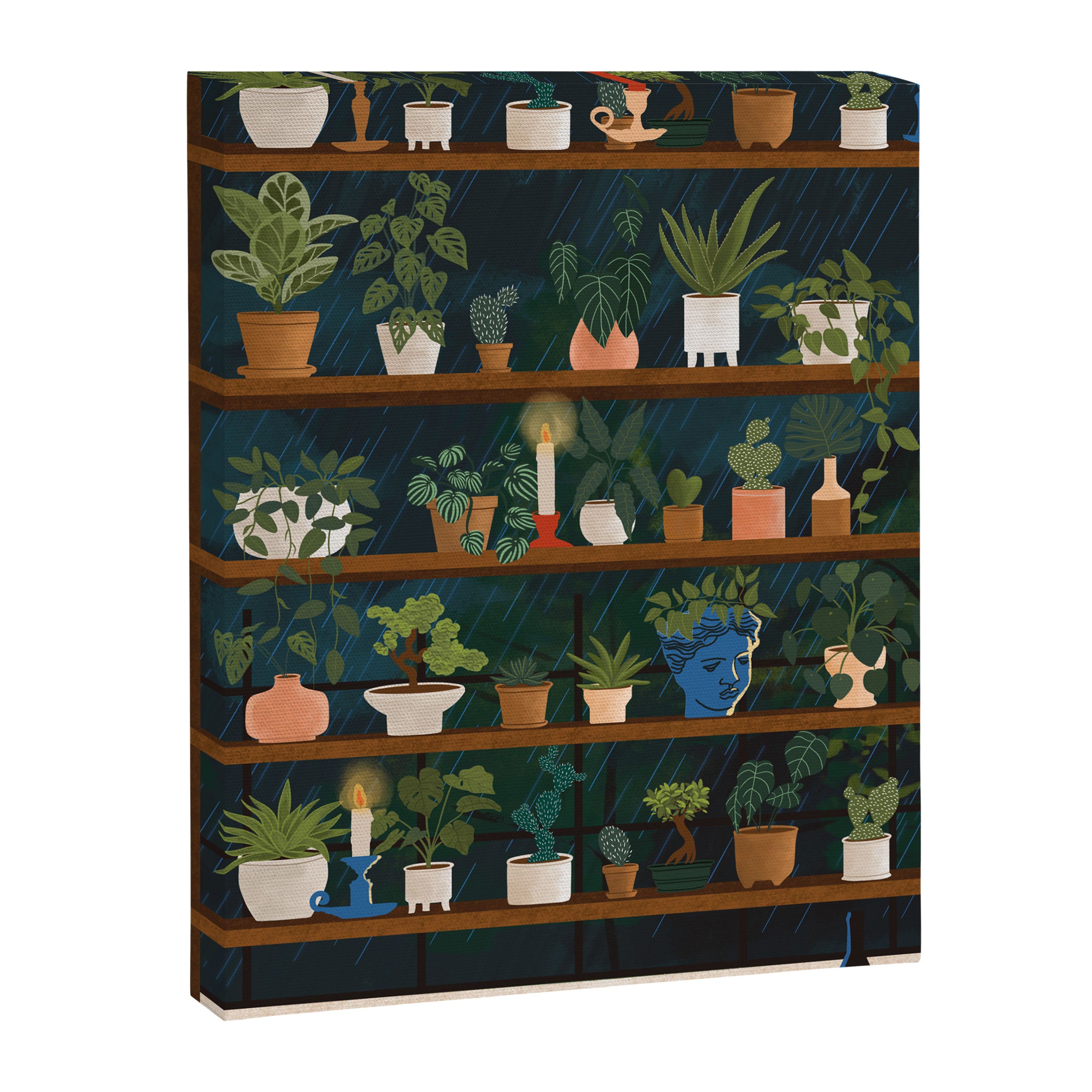 Plant Shelves Rainy Night Canvas Print Gallery Image 6