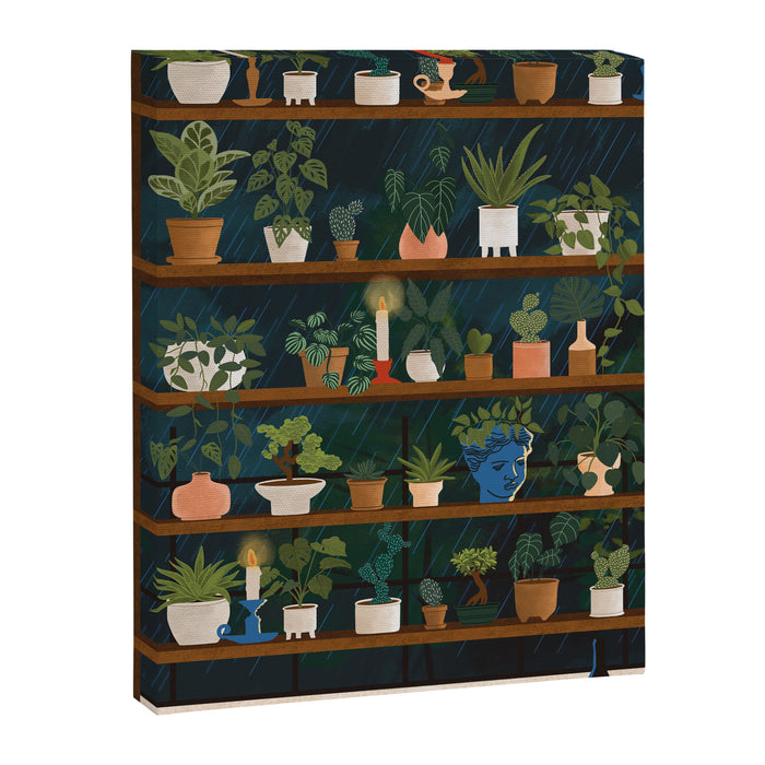 Plant Shelves Rainy Night Canvas Print Gallery Image 1