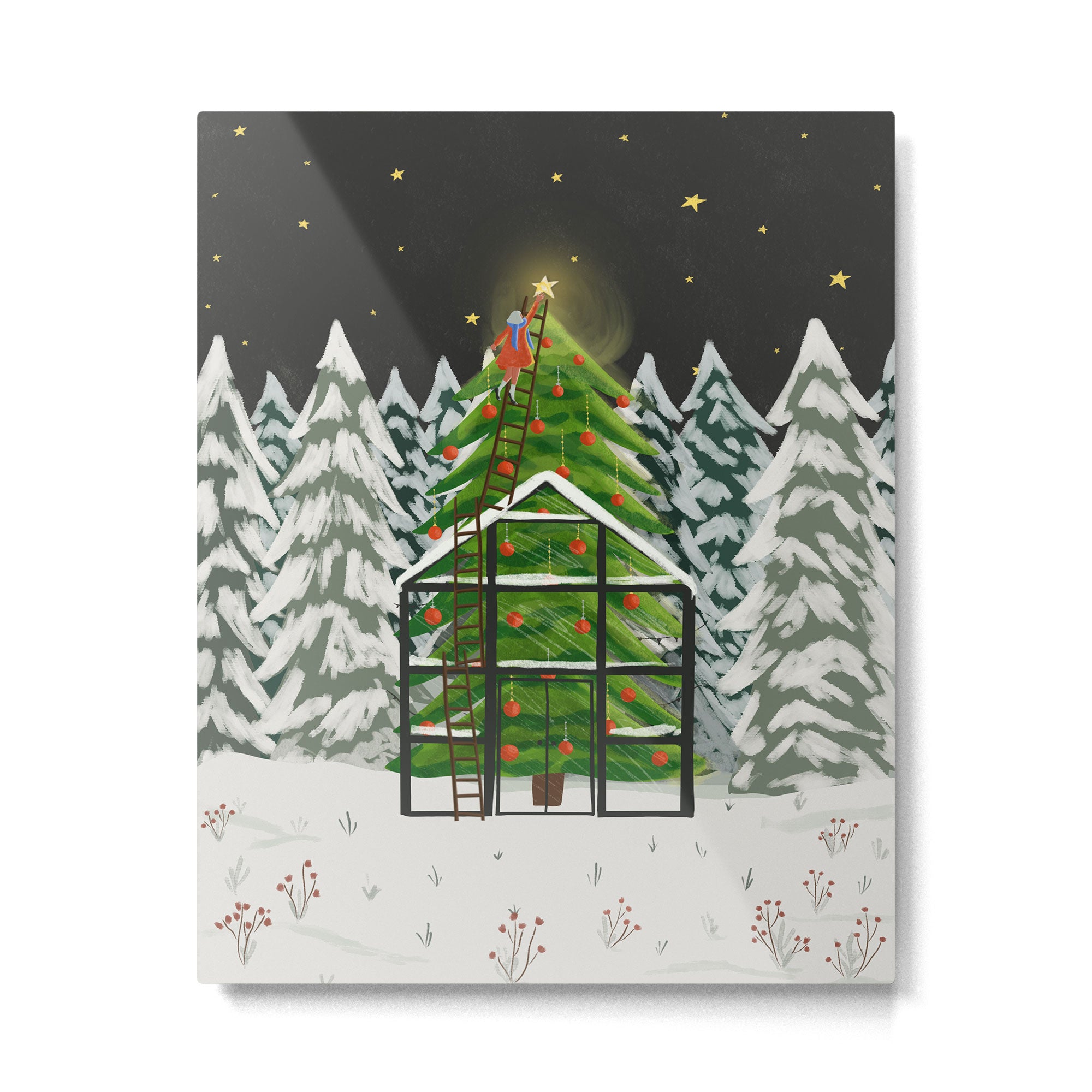 Winter Garden Metal Print Gallery Image 4