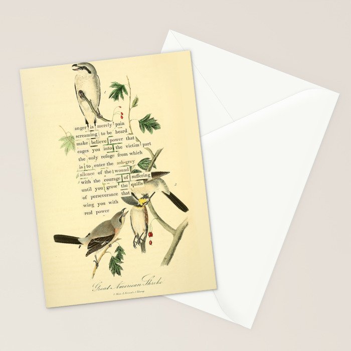 Anger # Great American Shrike Divination from # An Almanac of Birds # Divinations for Uncertain Days Stationery Card Gallery Image 2