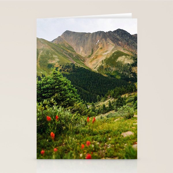 Loveland Pass Paintbrush Stationery Card Gallery Image 1