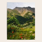 Loveland Pass Paintbrush Poster Gallery Image 4