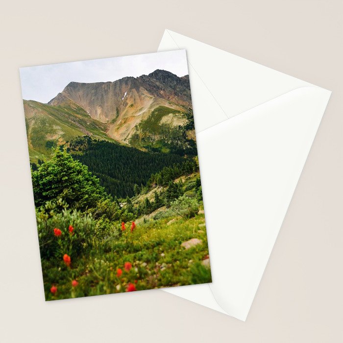 Loveland Pass Paintbrush Stationery Card Gallery Image 2