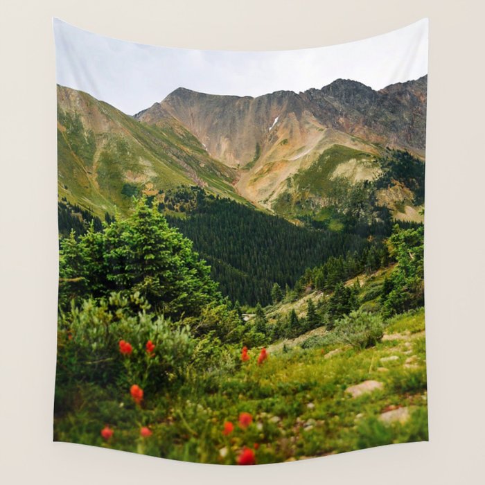 Loveland Pass Paintbrush Wall Tapestry Gallery Image 1