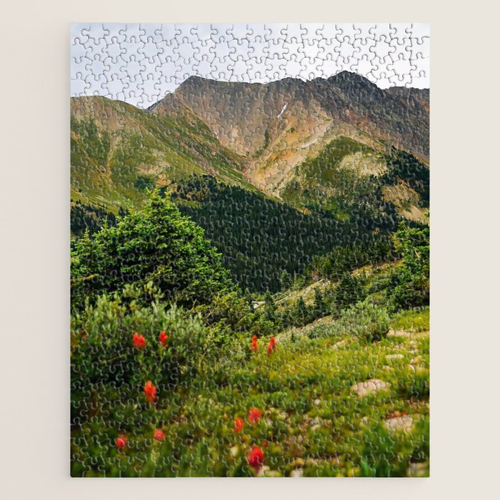 Loveland Pass Paintbrush Jigsaw Puzzle Gallery Image 1