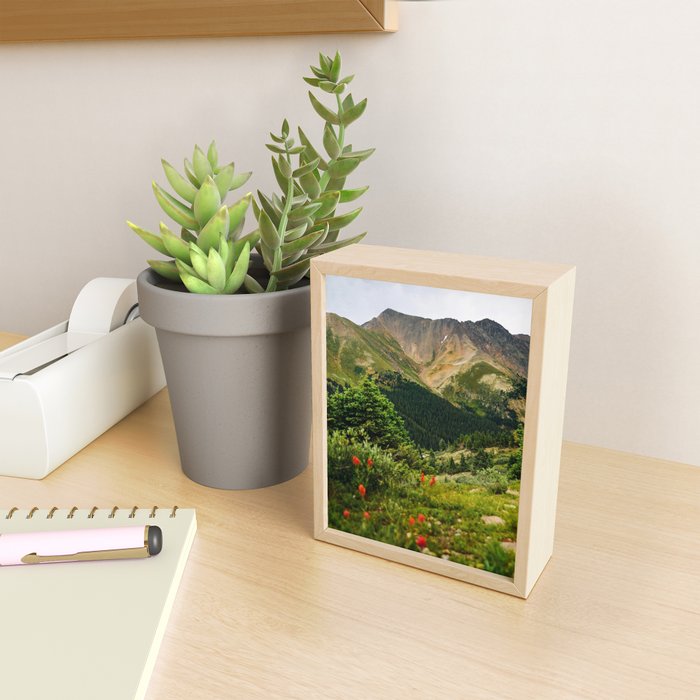 Loveland Pass Paintbrush Mini Art Print Gallery Image 2