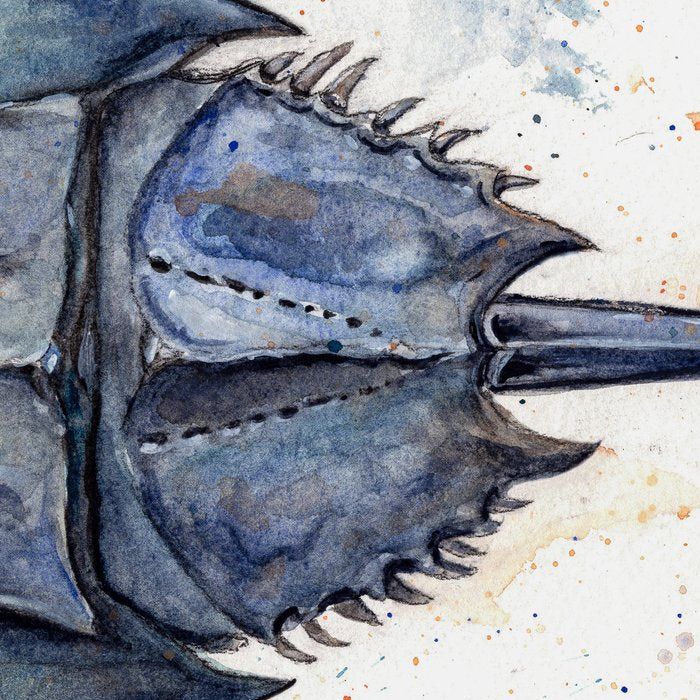 Horseshoe Crab Blues Coffee Mug Gallery Image 2