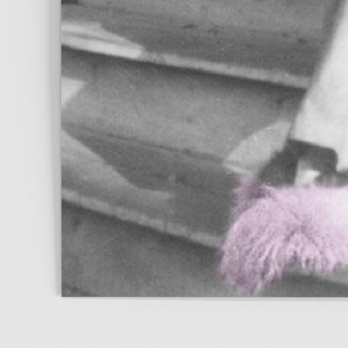 Satirical Einstein in Fuzzy Pink Slippers Classic E = mc² Black and White Satirical Photography  Poster Gallery Image 3