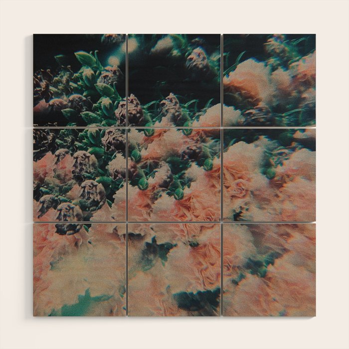 You fall upon my waking eyes Wood Wall Art Gallery Image 1