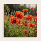 Red Poppy Garden Floral Landscape Wood Wall Art Gallery Image 1