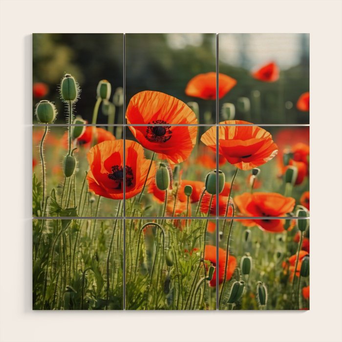 Red Poppy Garden Floral Landscape Wood Wall Art Gallery Image 1