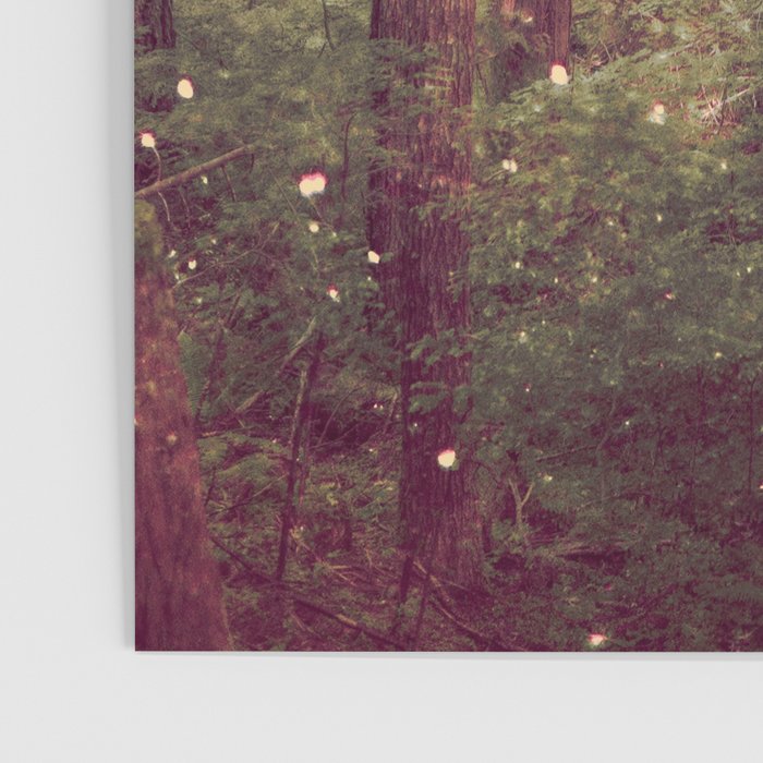 Autumn Lights Poster Gallery Image 3