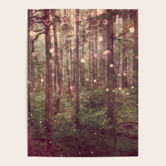 Autumn Lights Poster Gallery Image 4