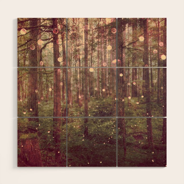 Autumn Lights Wood Wall Art Gallery Image 1