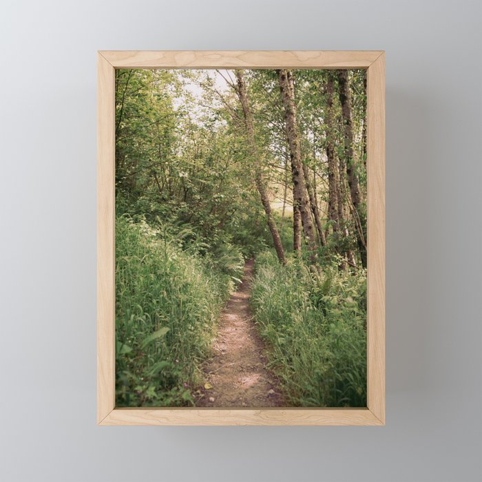 Mellow Path Mini Art Print Gallery Image 1