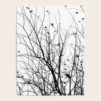 Black white tree branch bird nature pattern Poster Gallery Image 4