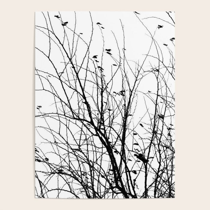 Black white tree branch bird nature pattern Poster Gallery Image 4