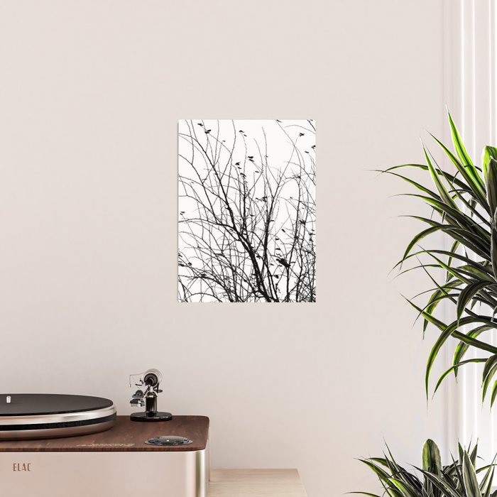 Black white tree branch bird nature pattern Poster Gallery Image 2