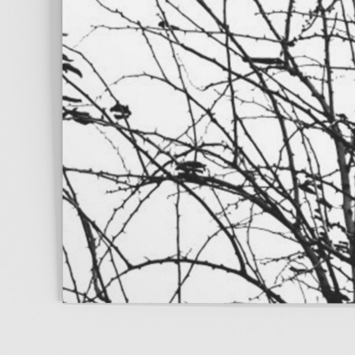 Black white tree branch bird nature pattern Poster Gallery Image 3