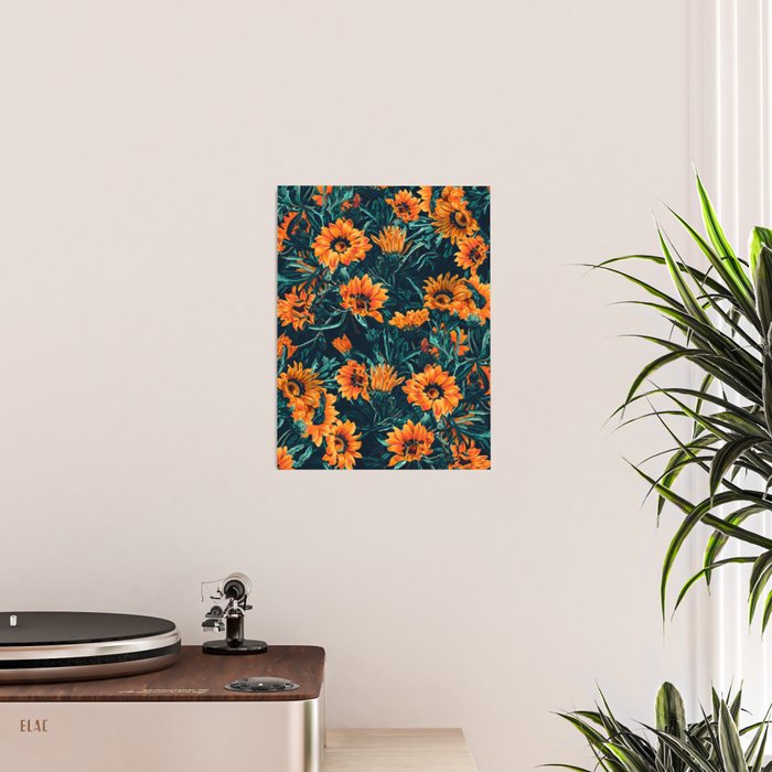 Summer Dreams - Gazania II Poster Gallery Image 2