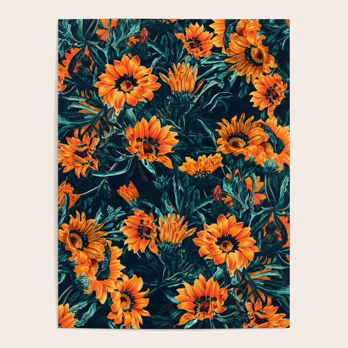 Summer Dreams - Gazania II Poster Gallery Image 1