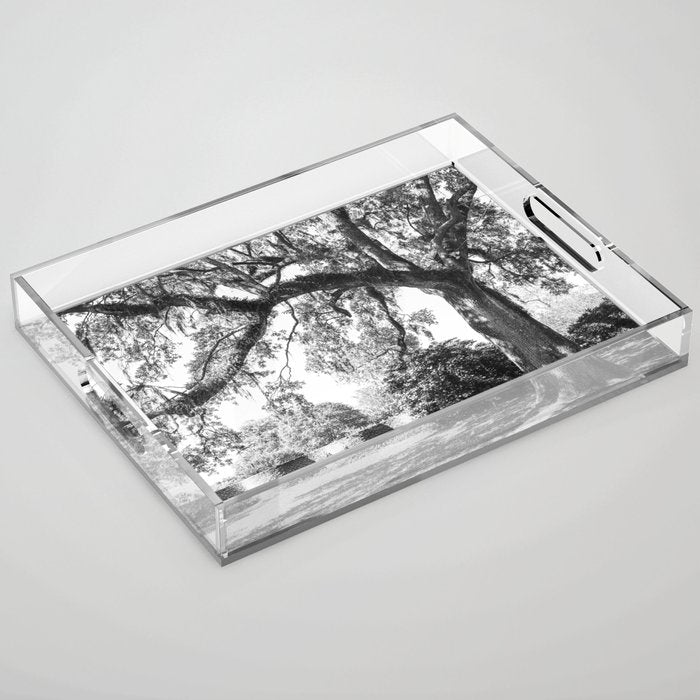 South Carolina Lowcountry Landscape Photography Acrylic Tray Gallery Image 1