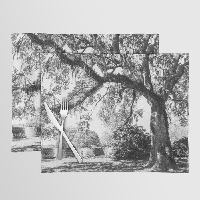 South Carolina Lowcountry Landscape Photography Placemat Gallery Image 1