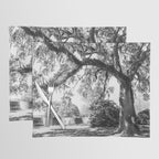 South Carolina Lowcountry Landscape Photography Placemat Gallery Image 1