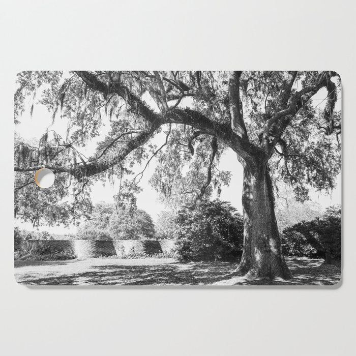 South Carolina Lowcountry Landscape Photography Cutting Board Gallery Image 1