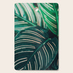 Calathea Leaves botanical houseplant leaf photography plant photo Cutting Board Gallery Image 1