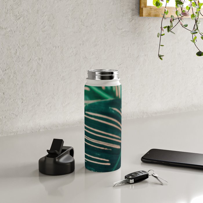 Calathea Leaves botanical houseplant leaf photography plant photo Water Bottle Gallery Image 4
