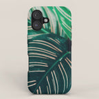 Calathea Leaves botanical houseplant leaf photography plant photo iPhone Case Gallery Image 1