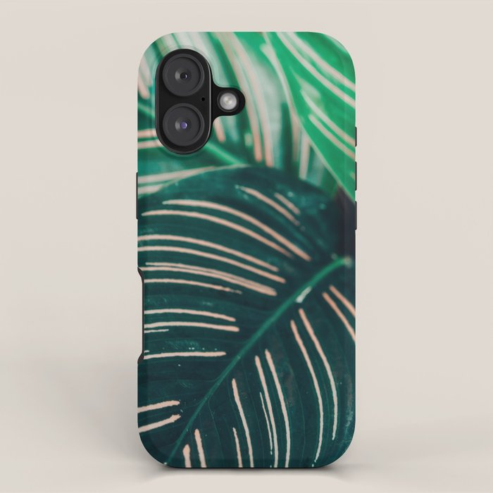 Calathea Leaves botanical houseplant leaf photography plant photo iPhone Case Gallery Image 1