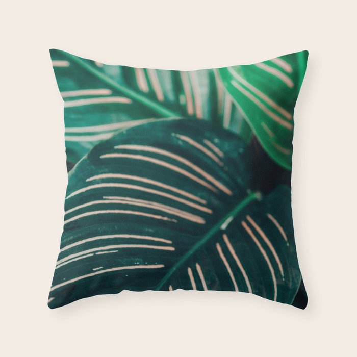 Calathea Leaves botanical houseplant leaf photography plant photo Throw Pillow Gallery Image 6