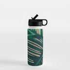 Calathea Leaves botanical houseplant leaf photography plant photo Water Bottle Gallery Image 1
