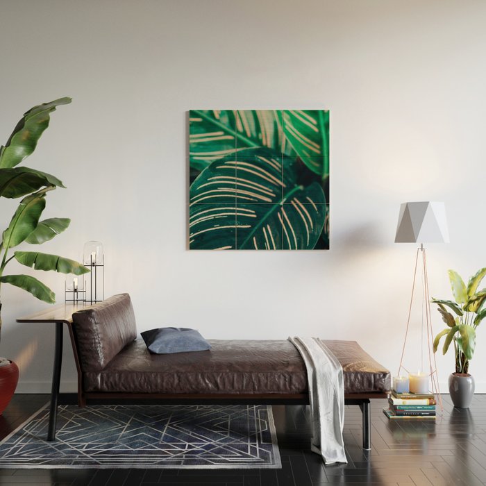 Calathea Leaves botanical houseplant leaf photography plant photo Wood Wall Art Gallery Image 2