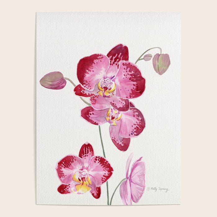 Orchid 2 Poster Gallery Image 1