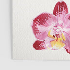Orchid 2 Poster Gallery Image 3