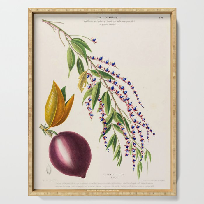 Plum from "Flore dâAmÃ©rique" by Ãtienne Denisse, 1840s Serving Tray Gallery Image 1