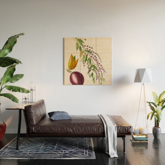 Plum from "Flore dâAmÃ©rique" by Ãtienne Denisse, 1840s Wood Wall Art Gallery Image 2